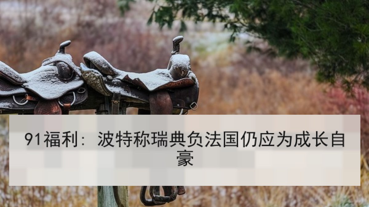 91福利: 波特称瑞典负法国仍应为成长自豪